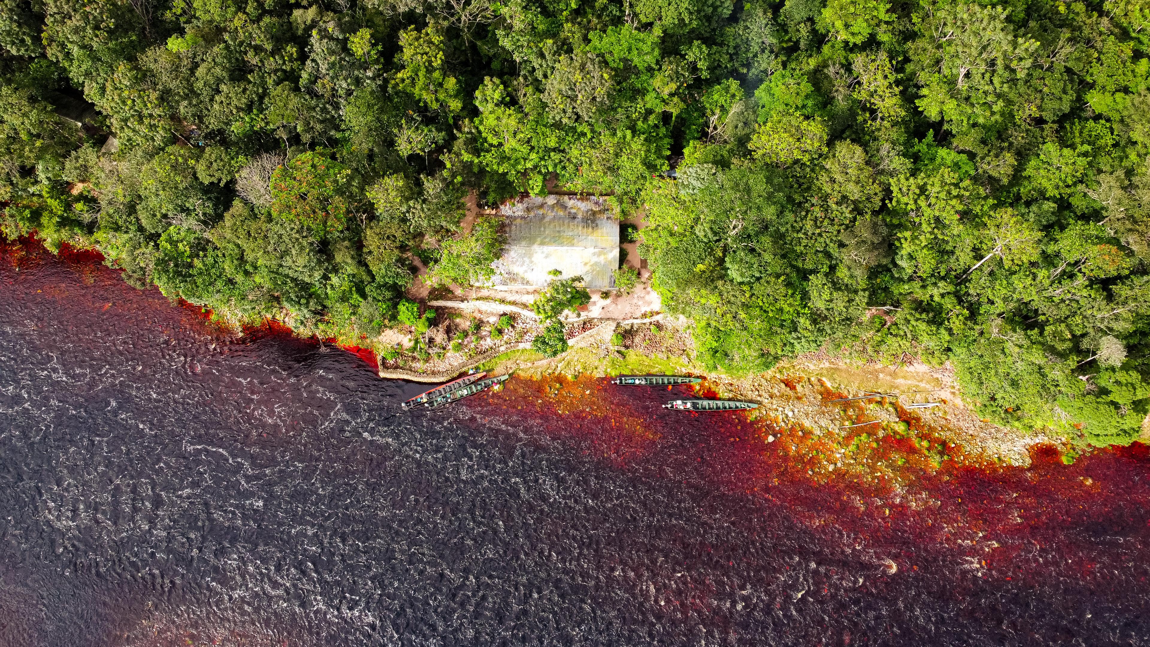 Churun river and curiaras. Canaima, Venezuela